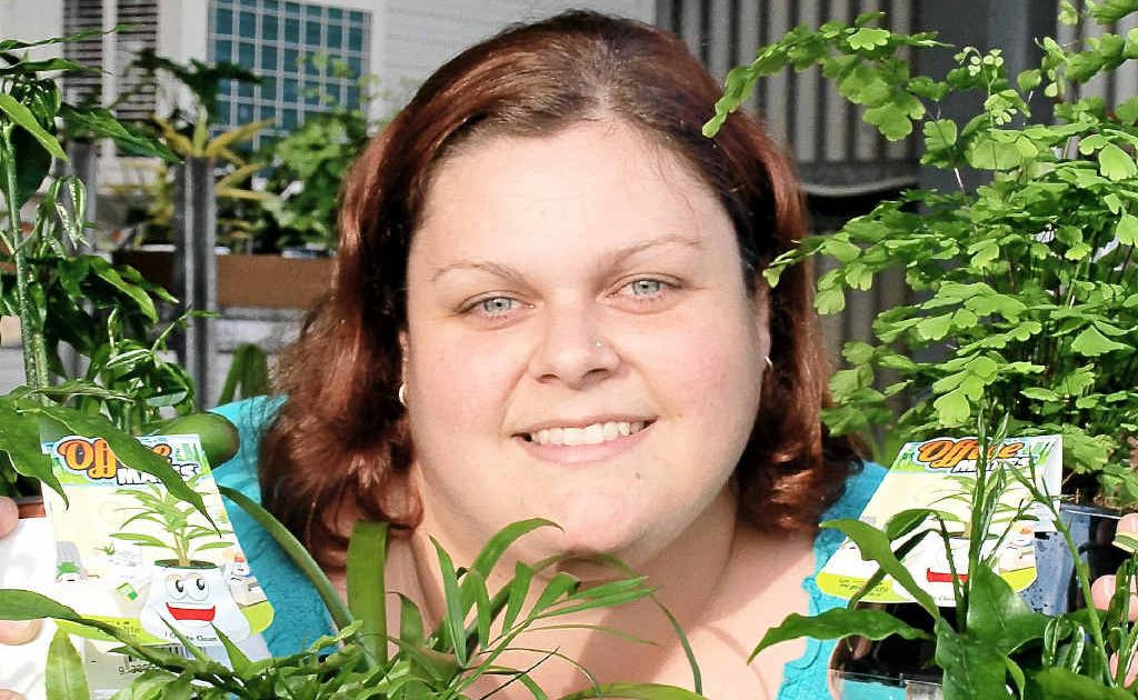 Dracaena Farm Nurseries office and sales manager Bronwyn Hillier bids farewell to her Office Mates before they’re delivered all over Queensland and below, improves her office environment. Dracaena Farm Nurseries office and sales manager Bronwyn Hillier bids farewell to her Office Mates before they’re delivered all over Queensland and below, improves her office environment.